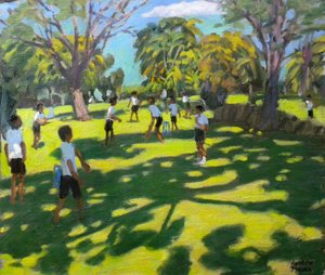 Críquet, 2011 de Andrew Macara